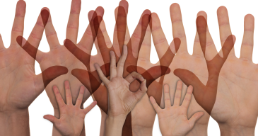 volunteer-2653990_1280